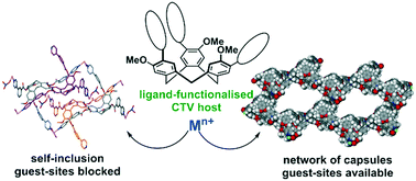 Graphical abstract: Coordination polymers with embedded recognition sites: lessons from cyclotriveratrylene-type ligands