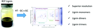 Graphical abstract: Identification and quantification of lignin monomers and oligomers from reductive catalytic fractionation of pine wood with GC × GC – FID/MS