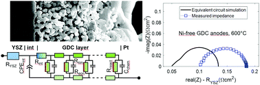 Graphical abstract: Excellent kinetics of single-phase Gd-doped ceria fuel electrodes in solid oxide cells