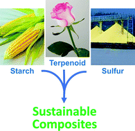 Graphical abstract: Thermomorphological and mechanical properties of vulcanized octenyl succinate/terpenoid-derivatized corn starch composites