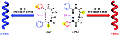 Graphical abstract: Chalcogen bonding mediates the formation of supramolecular helices of azapeptides in crystals