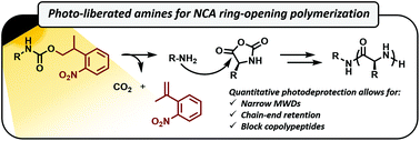 Graphical abstract: Photo-liberated amines for N-carboxyanhydride (PLANCA) ring-opening polymerization