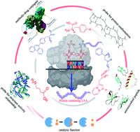 Graphical abstract: Reprogramming natural proteins using unnatural amino acids