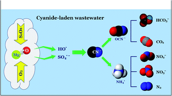 Graphical abstract: A catalytic ozonation process using MgO/persulfate for degradation of cyanide in industrial wastewater: mechanistic interpretation, kinetics and by-products