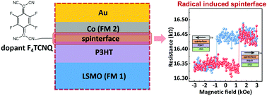 Graphical abstract: Molecular spinterface in F4TCNQ-doped polymer spin valves