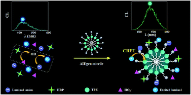 Graphical abstract: Cationic AIEgen micelle-improved chemiluminescent H2O2 assay by integrating reactant approach and CRET