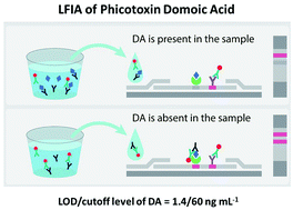 Graphical abstract: Rapid detection of phycotoxin domoic acid in seawater and seafood based on the developed lateral flow immunoassay
