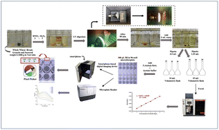 Graphical abstract: Smartphone-based digital image colorimetry for determination of iron in cereals and crispy seaweed using Terminalia chebula retz. extract as a natural reagent