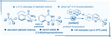 Graphical abstract: Ketone-derived 2,3-dihydroquinazolinones in N-heteroarene C–H alkylation via C–C bond scission under oxidative metal catalysis