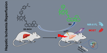 Graphical abstract: A biomarker-responsive nanoprobe for detecting hepatic ischemia-reperfusion injury via optoacoustic/NIR-II fluorescence imaging