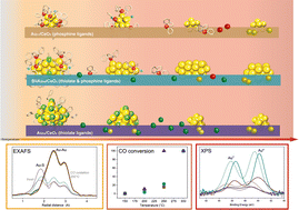 Graphical abstract: Structural evolution after oxidative pretreatment and CO oxidation of Au nanoclusters with different ligand shell composition: a view on the Au core