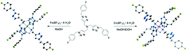 Graphical abstract: Fluorinated click-derived tripodal ligands drive spin crossover in both iron(ii) and cobalt(ii) complexes