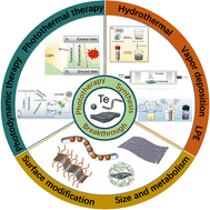 Graphical abstract: Advances of bioactive tellurium nanomaterials in anti-cancer phototherapy