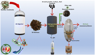 Graphical abstract: Heterogeneous catalytic conversion of solid anaerobic digestate waste to biofuels and value-added chemicals