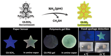 Graphical abstract: Fluorometric detection of volatile amines using an indanonalkene platform