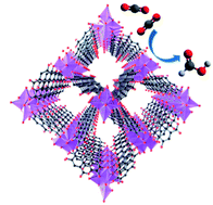 Graphical abstract: A hexacoordinated Bi3+-based ellagate MOF with acid/base resistance boosting carbon dioxide electroreduction to formate