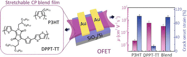 Graphical abstract: Balancing the trade-off between the mechanical and electrical properties of conjugated polymer blend films for organic field-effect transistors