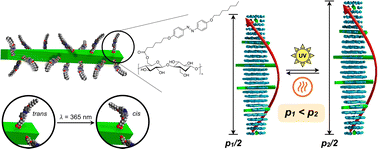 Graphical abstract: Azobenzene-decorated cellulose nanocrystals as photo-switchable chiral solutes in nematic liquid crystals