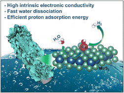 Graphical abstract: Single-atomic rhenium-assisted 2H-to-1T phase transformation of MoS2 nanosheets boosting electrocatalytic hydrogen evolution