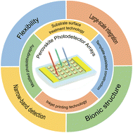 Graphical abstract: Recent progress in construction methods and applications of perovskite photodetector arrays