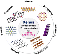 Graphical abstract: MXene and Xene: promising frontier beyond graphene in tissue engineering and regenerative medicine