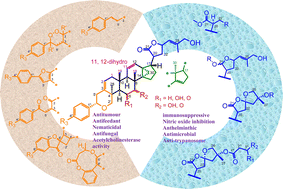 Graphical abstract: The dichapetalins and dichapetalin-type compounds: structural diversity, bioactivity, and future research perspectives