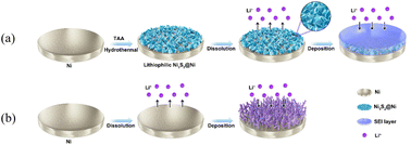 Graphical abstract: An in situ formed lithiophilic Ni3S2@Ni current collector for stable lithium metal batteries