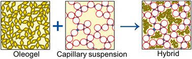 Graphical abstract: A hybrid approach to oil structuring – combining wax oleogels and capillary suspensions