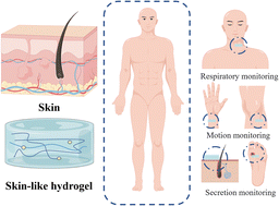 Graphical abstract: Skin-like hydrogels: design strategy and mechanism, properties, and sensing applications