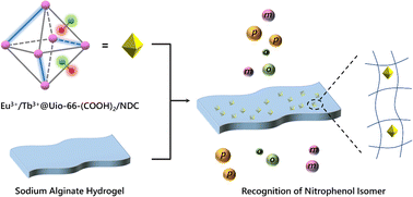 Graphical abstract: A MOF/hydrogel film-based array sensor for discriminative detection of nitrophenol isomers