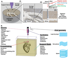 Graphical abstract: Design considerations and biomaterials selection in embedded extrusion 3D bioprinting