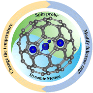 Graphical abstract: Spin probe for dynamics of the internal cluster in endohedral metallofullerenes