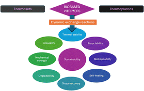 Graphical abstract: Biobased vitrimers: towards sustainability and circularity