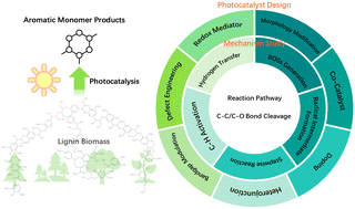 Graphical abstract: A mini review on photocatalytic lignin conversion into monomeric aromatic compounds