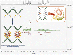 Graphical abstract: Synthesis, characterisation and antimicrobial activity of supramolecular cobalt-peptide conjugates