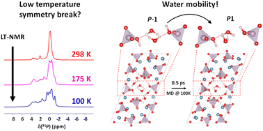 Graphical abstract: Temperature-induced mobility in octacalcium phosphate impacts crystal symmetry: water dynamics studied by NMR crystallography