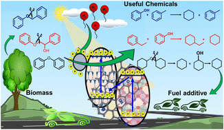 Graphical abstract: Advancing sustainable lignin valorisation: utilizing Z-scheme photocatalysts for efficient hydrogenolysis of lignin's β-O-4, α-O-4, and 4-O-5 linkages under ambient conditions