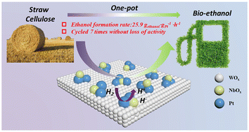 Graphical abstract: Improving both activity and stability for direct conversion of cellulose to ethanol by decorating Pt/WOx with mononuclear NbOx