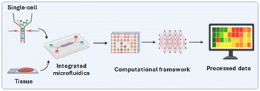 Graphical abstract: Microfluidics for morpholomics and spatial omics applications