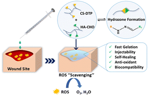 Graphical abstract: An injectable, self-healing, polysaccharide-based antioxidative hydrogel for wound healing
