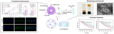 Graphical abstract: Enhanced skin penetration of curcumin by a nanoemulsion-embedded oligopeptide hydrogel for psoriasis topical therapy