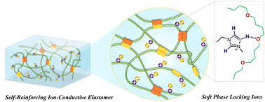 Graphical abstract: Empowering soft conductive elastomers with self-reinforcement and remarkable resilience via phase-locking ions