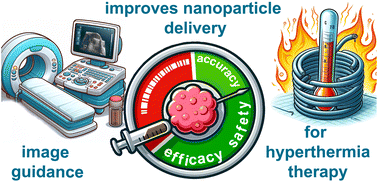 Graphical abstract: Improved tumour delivery of iron oxide nanoparticles for magnetic hyperthermia therapy of melanoma via ultrasound guidance and 111In SPECT quantification