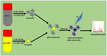 Graphical abstract: An advanced plasmonic bimetallic nanostar composite for ultra-sensitive SERS detection of crystal violet