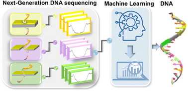 Graphical abstract: Machine learning empowered next generation DNA sequencing: perspective and prospectus