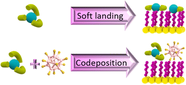 Graphical abstract: Spontaneous ligand loss by soft landed [Ni(bpy)3]2+ ions on perfluorinated self-assembled monolayer surfaces