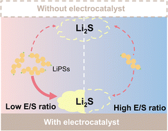 Graphical abstract: Electrocatalysts work better in lean-electrolyte lithium–sulfur batteries