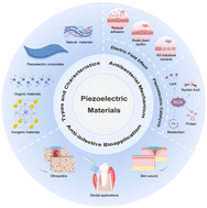 Graphical abstract: Piezoelectric materials for anti-infective bioapplications