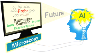 Graphical abstract: Frontiers in fluorescence imaging: tools for the in situ sensing of disease biomarkers