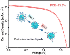 Graphical abstract: Ligand-customized colloidal quantum dots for high-performance optoelectronic devices